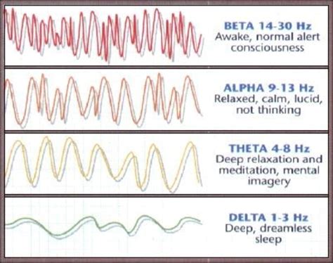 14 Hz Frequency Beta Waves For Focus .